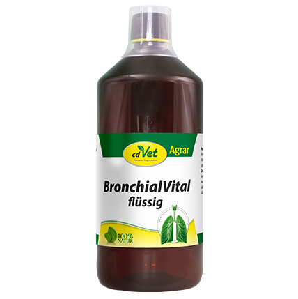 BronchialVital liquid
