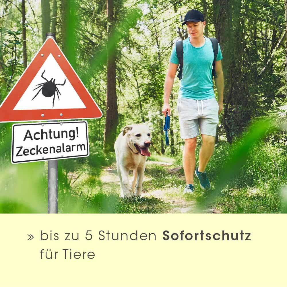 Person, Gehen, Pfad, Wandern, Vegetation