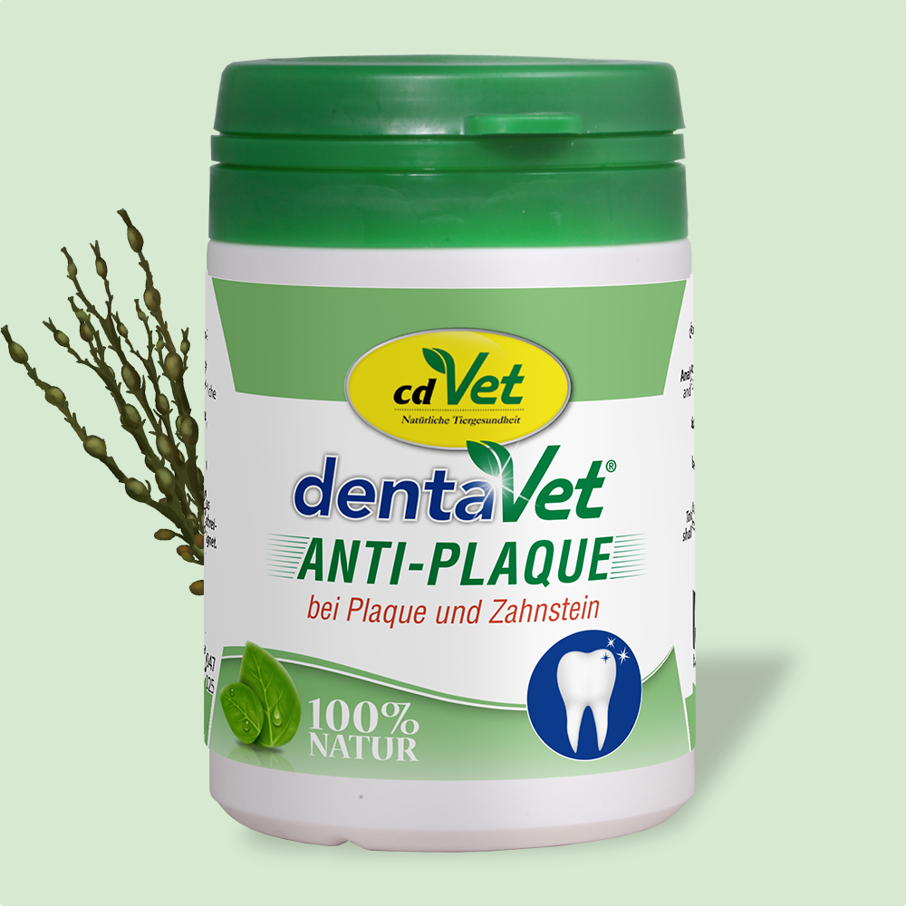 dentaVet Anti-Plaque