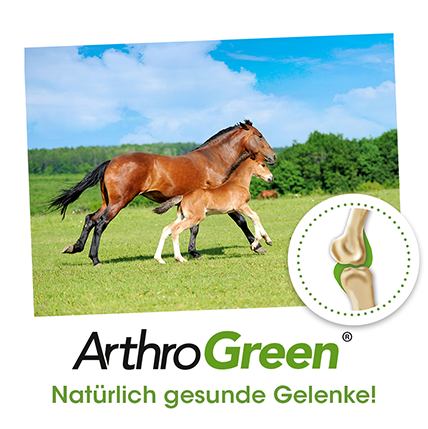 ArthroGreen Horse